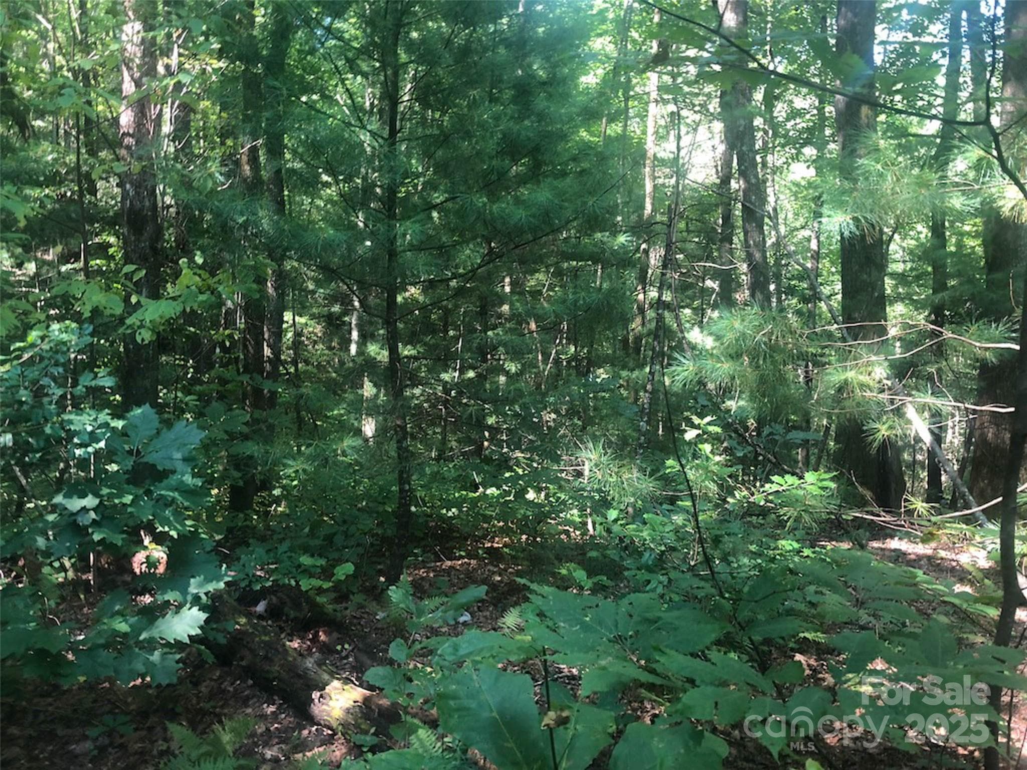 Lot at TBD Peppervine Circle, Rosman, photo 3 of 9