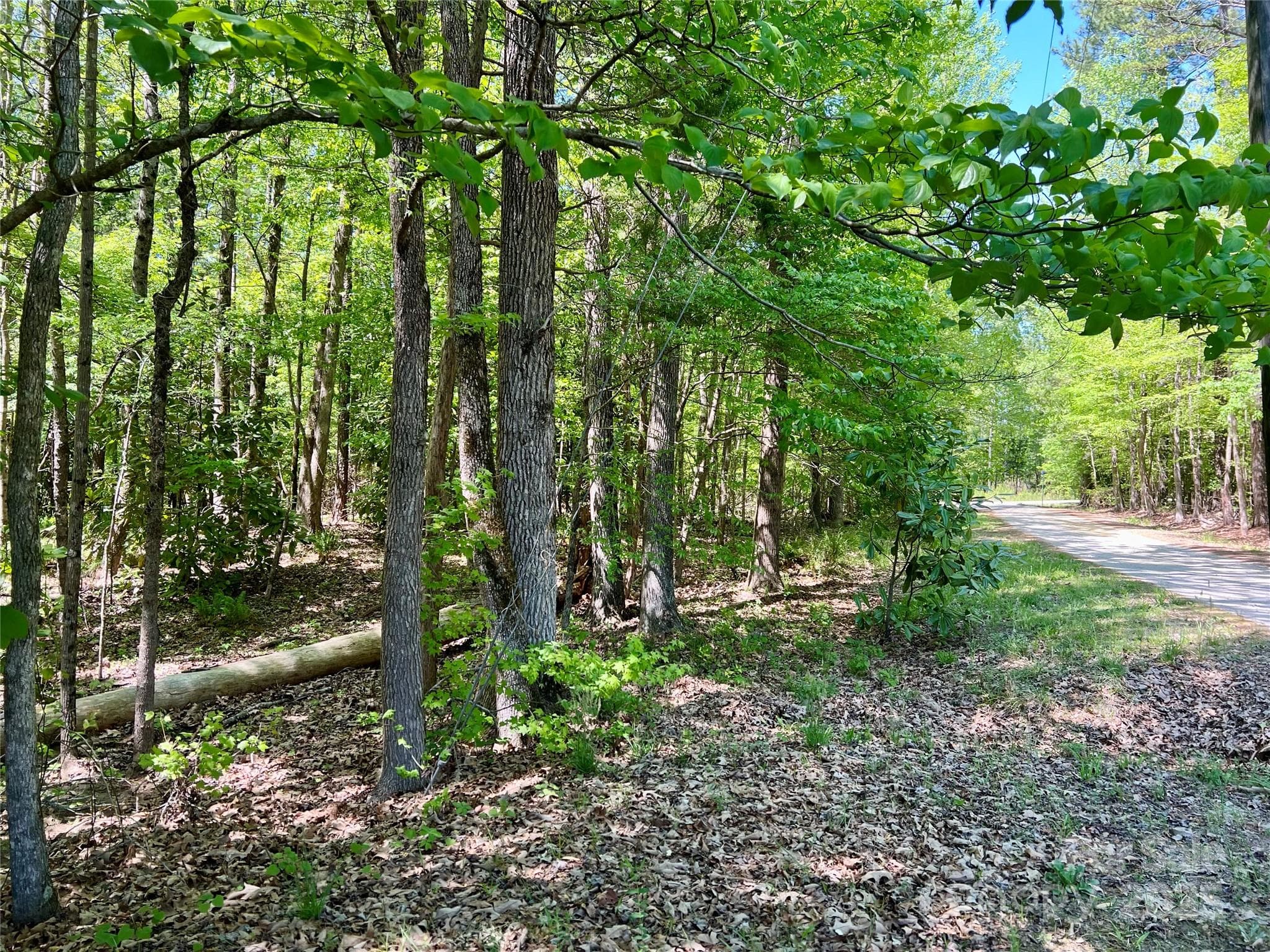 Acreage at 0 Monroe Highway, Lancaster, photo 2 of 10