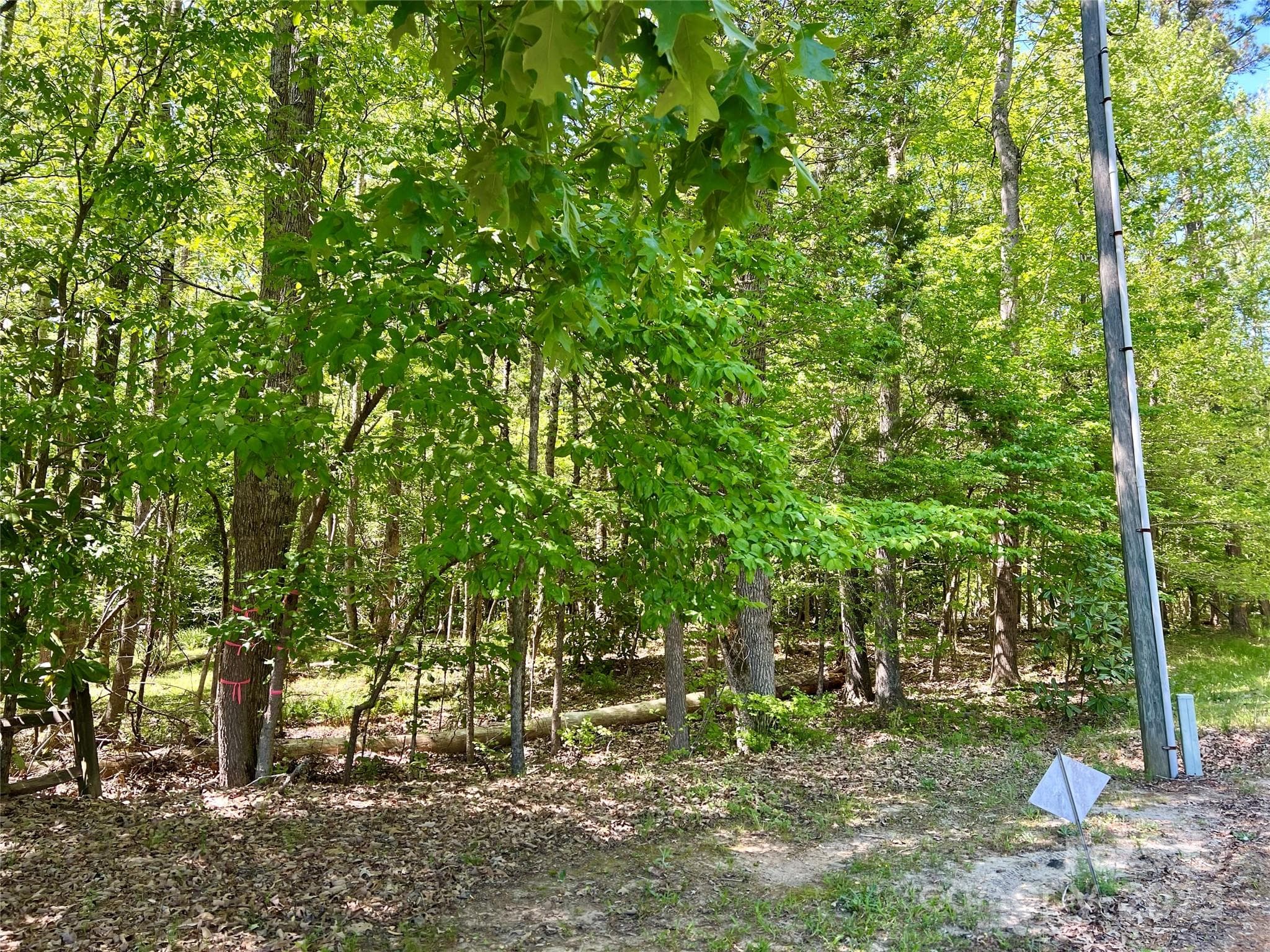 Acreage at 0 Monroe Highway, Lancaster, photo 3 of 10