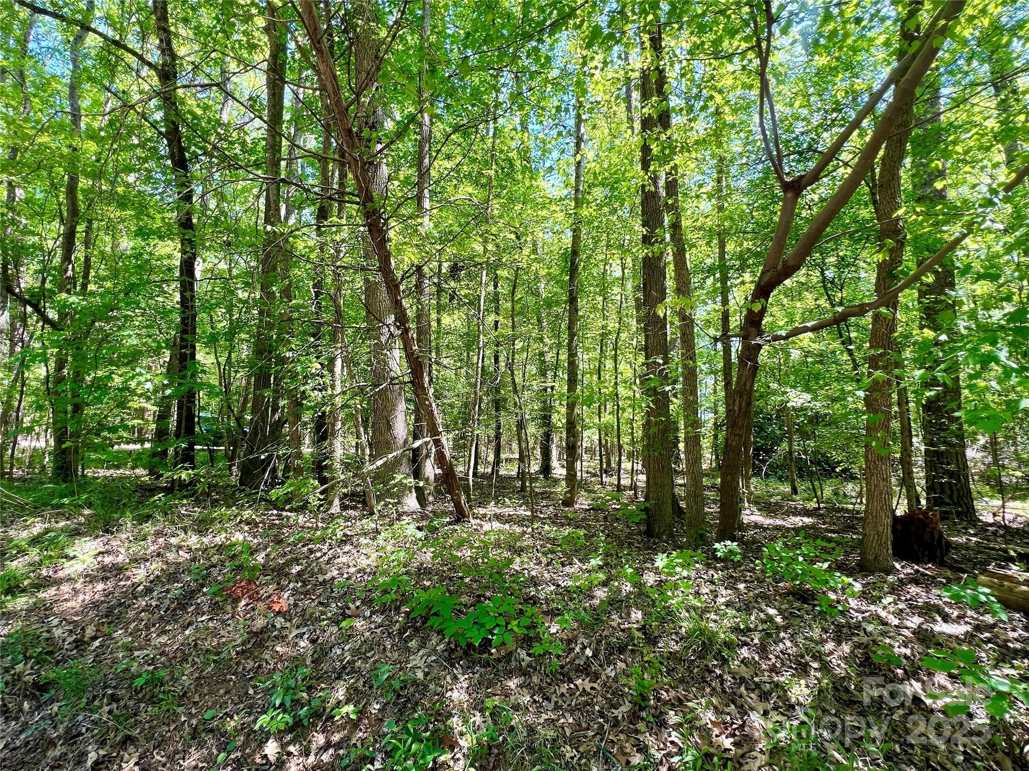 Acreage at 0 Monroe Highway, Lancaster, photo 6 of 10