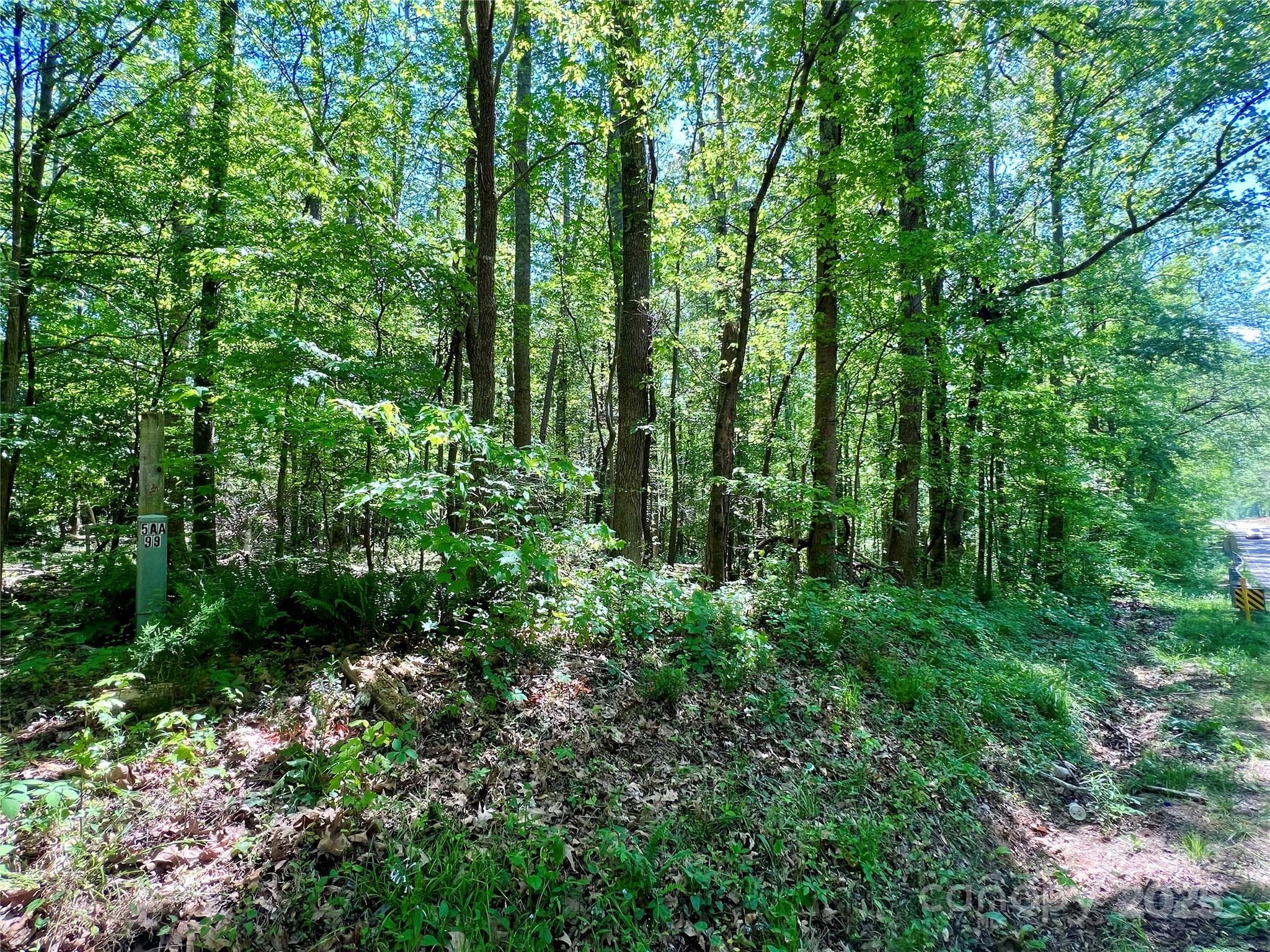Acreage at 0 Monroe Highway, Lancaster, photo 7 of 10
