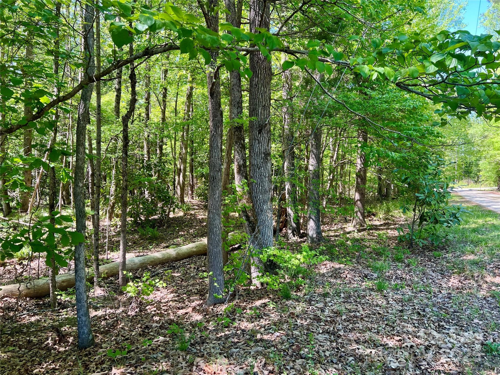 Acreage at 0 Monroe Highway, Lancaster, photo 8 of 10