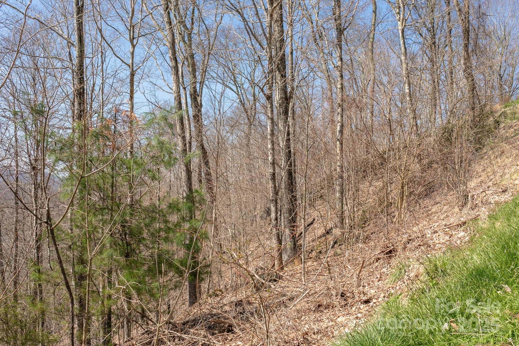 Lot at Burnsville, photo 8 of 19