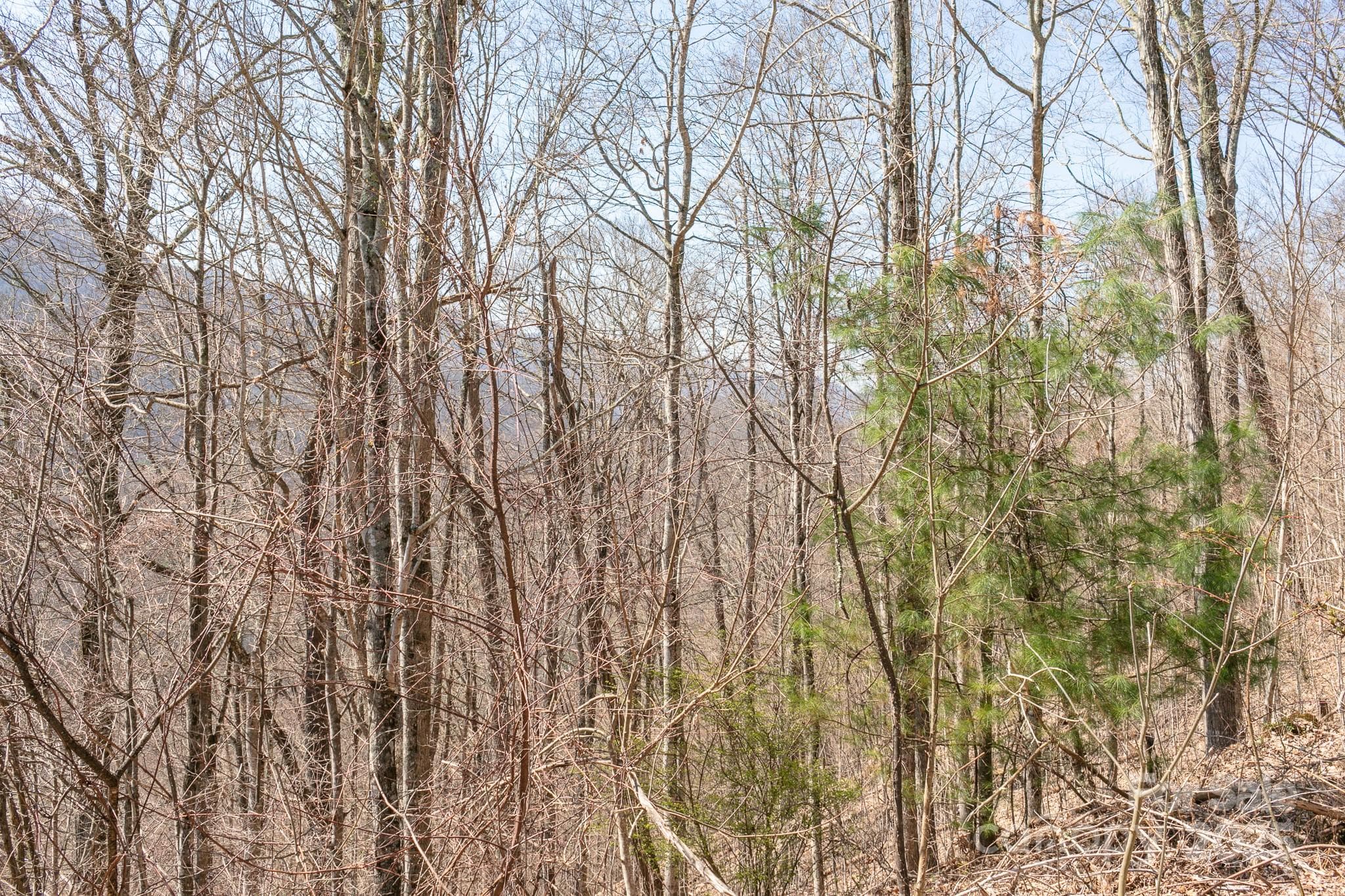 Lot at Burnsville, photo 9 of 19