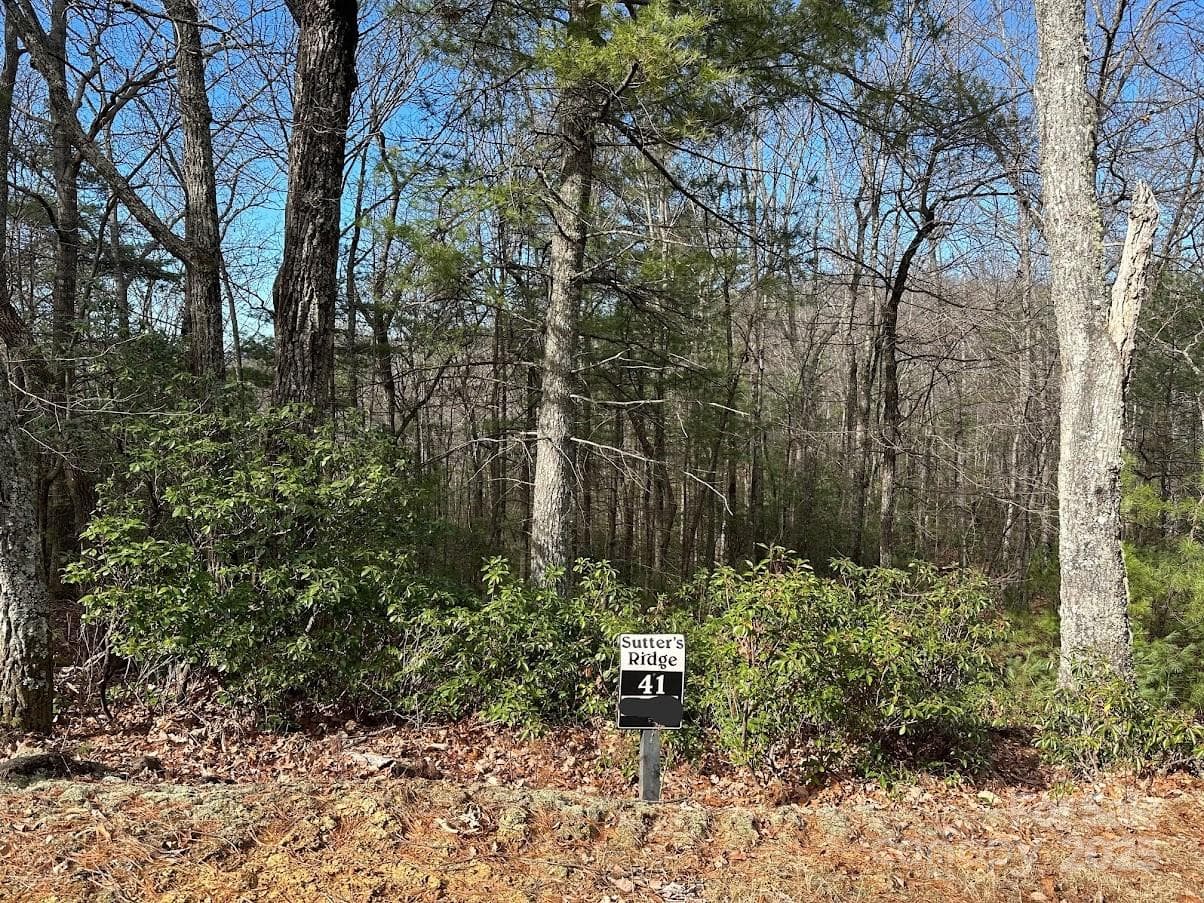 Sutters Ridge