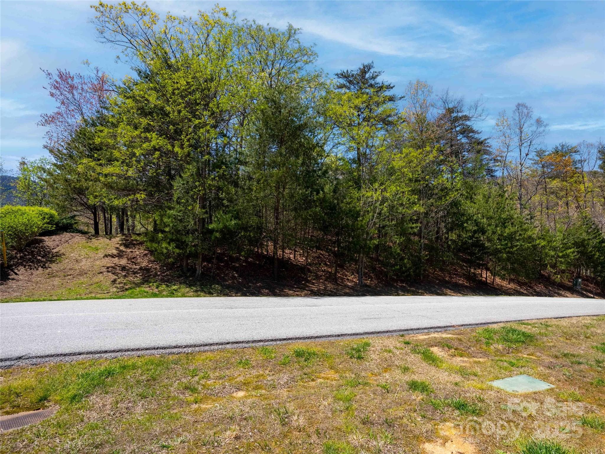 Lot at Mill Spring, photo 4 of 9