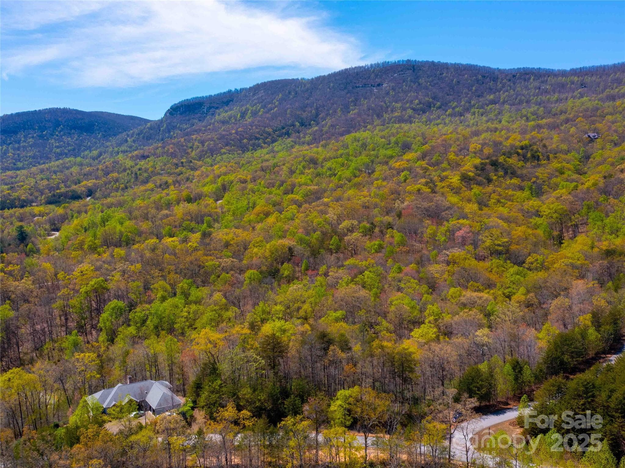 Lot at Mill Spring, photo 9 of 9