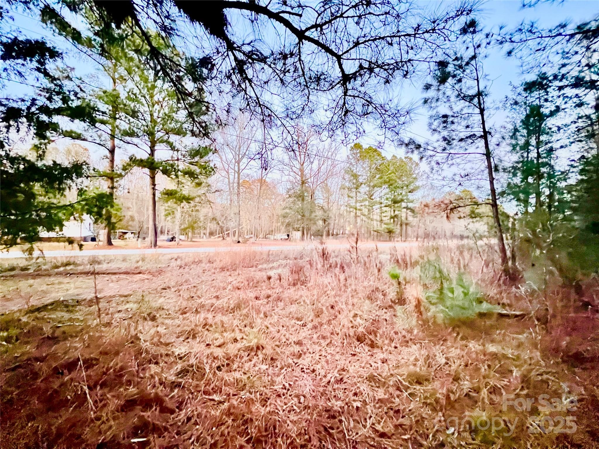 Acreage at TBD Wateree Road, Great Falls, photo 5 of 11