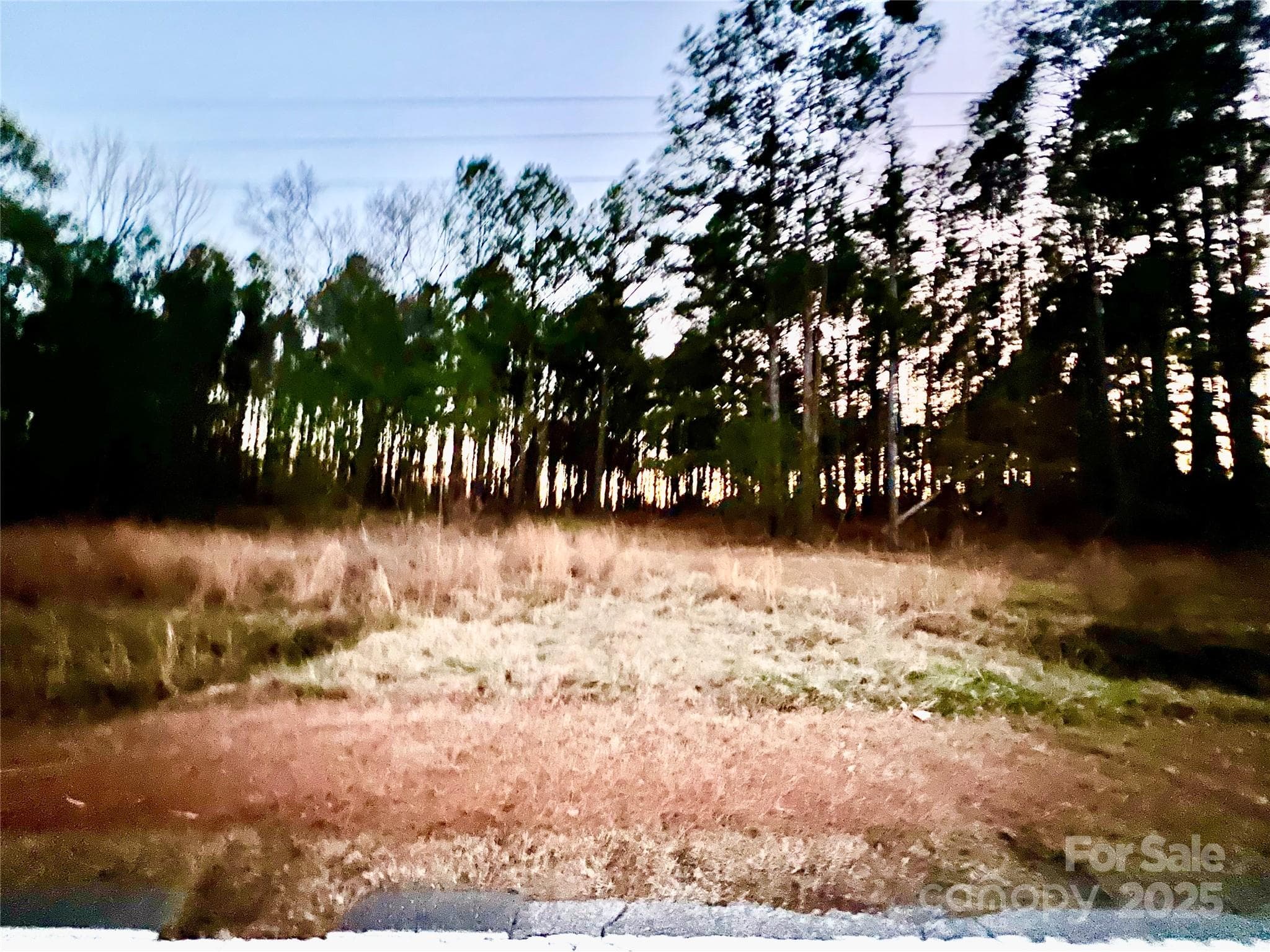 Acreage at TBD Wateree Road, Great Falls, photo 8 of 11