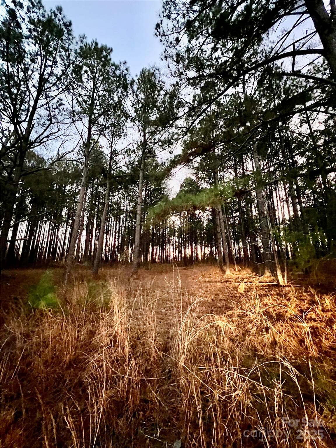 Acreage at TBD Wateree Road, Great Falls, photo 9 of 11