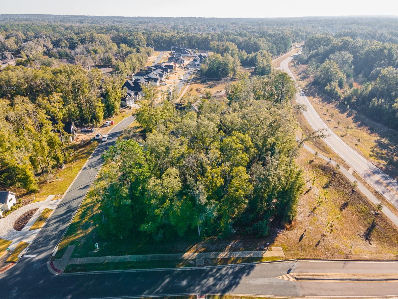 Land at 14117 SW 7TH PL, NEWBERRY, photo 7 of 13