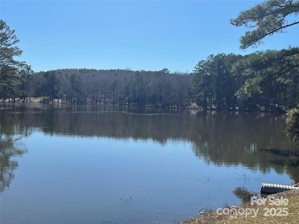 Acreage at Chester, photo 4 of 6
