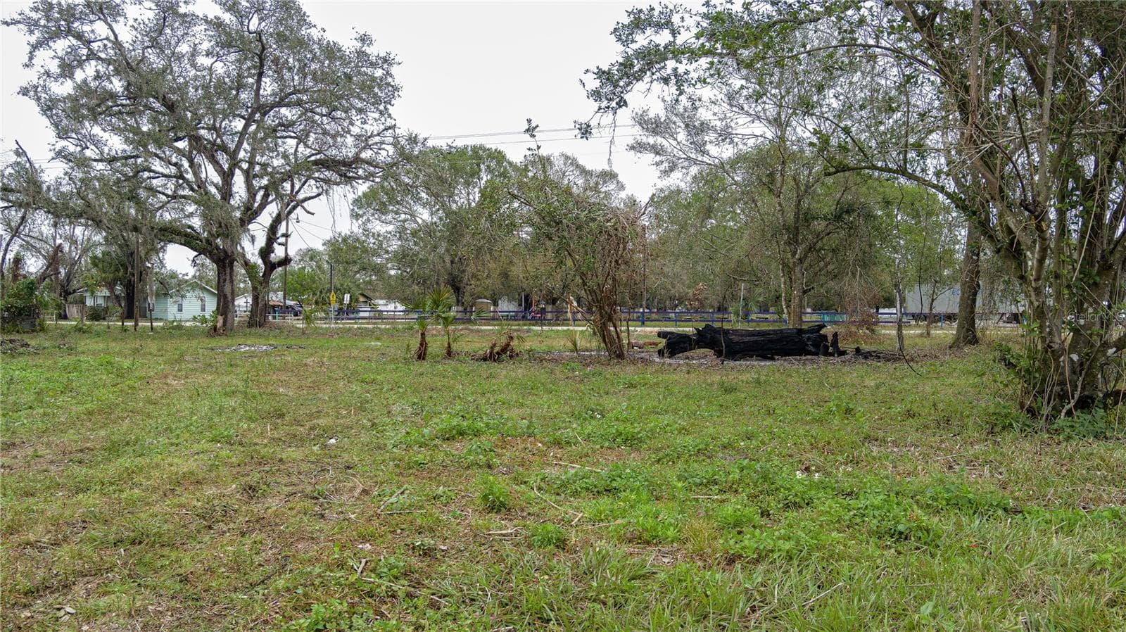 Land at STATE ROAD 70 E, MYAKKA CITY, photo 15 of 20