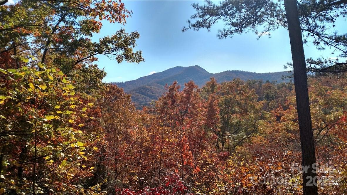Lot at Lot #41 S Country Club Drive, Cullowhee, photo 2 of 7
