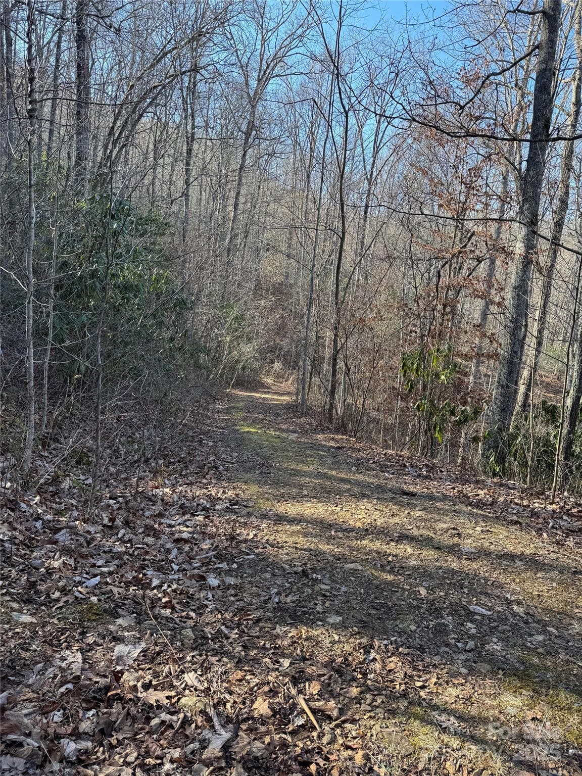 Lot #41 S Country Club Drive