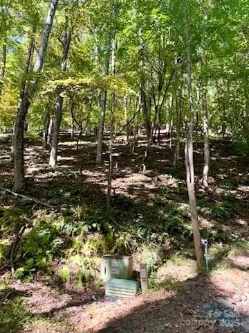 Lot at TBD Hickory Vista Lane, Mills River, photo 3 of 13