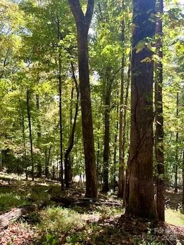 Lot at TBD Hickory Vista Lane, Mills River, photo 4 of 13