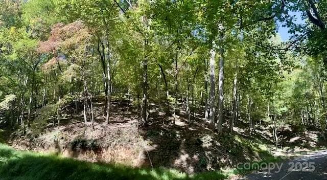 Lot at TBD Hickory Vista Lane, Mills River, photo 6 of 13