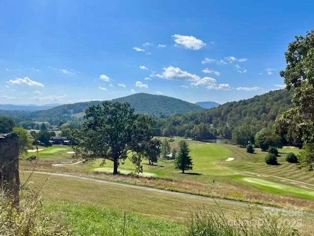 View from Clubhouse - TBD Hickory Vista Lane, Mills River