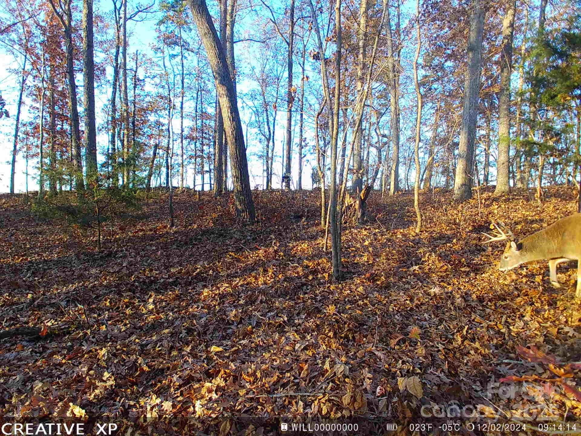 Acreage at 7210 Mission Road, Mount Pleasant, photo 2 of 14
