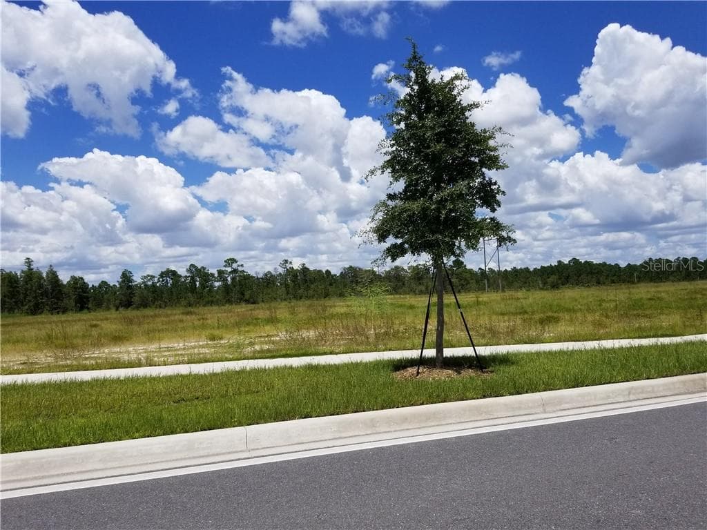 S APOPKA VINELAND