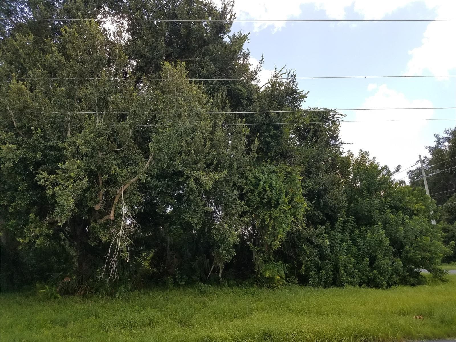 Land at EMERALD LAKE COLONY UNIT 02, KISSIMMEE, photo 5 of 18