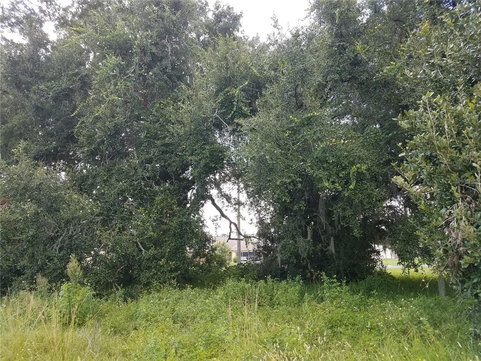 Land at EMERALD LAKE COLONY UNIT 02, KISSIMMEE, photo 17 of 18