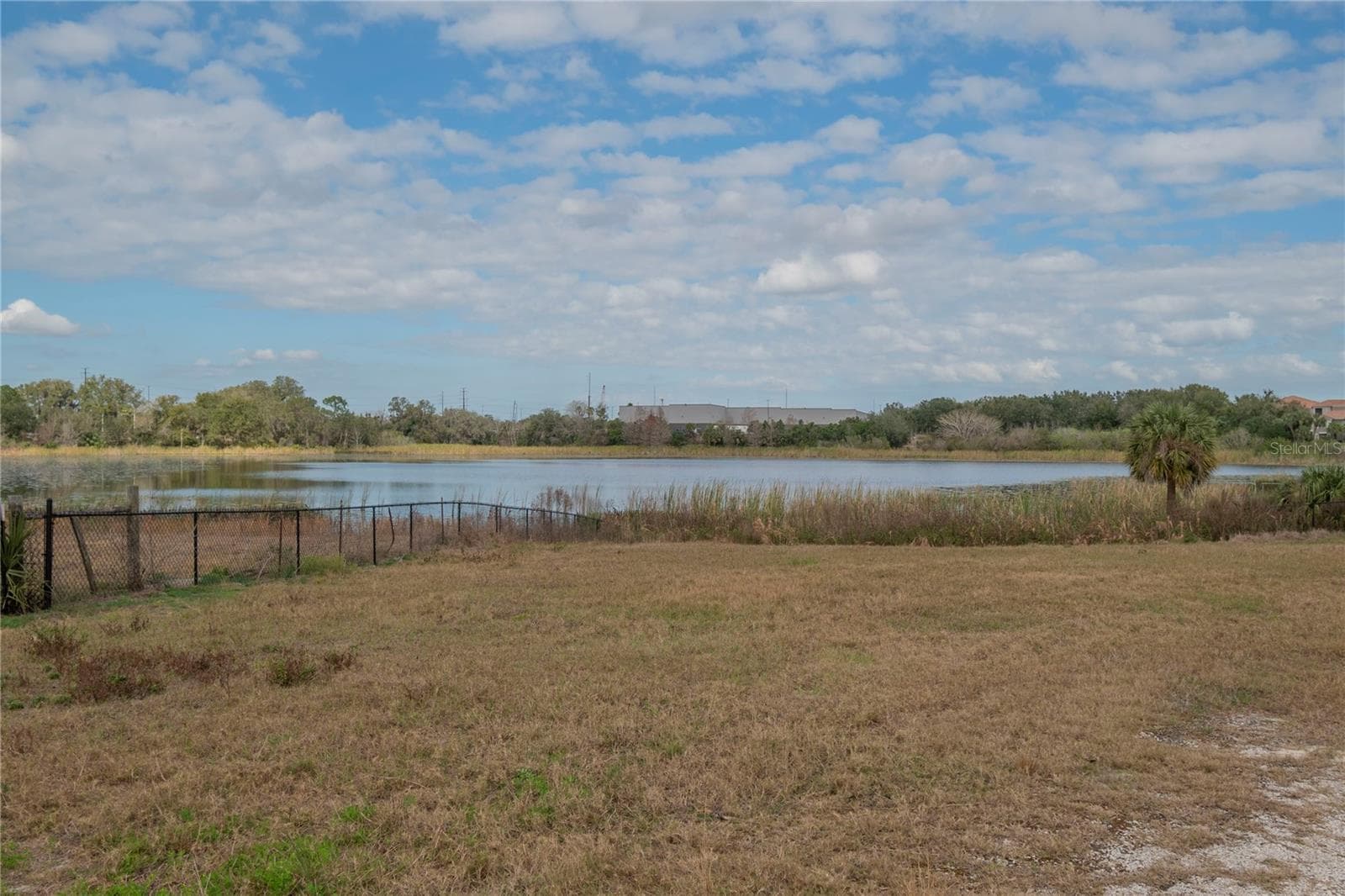 Agriculture at 4950 COUNTY ROAD 46A, SANFORD, photo 19 of 51