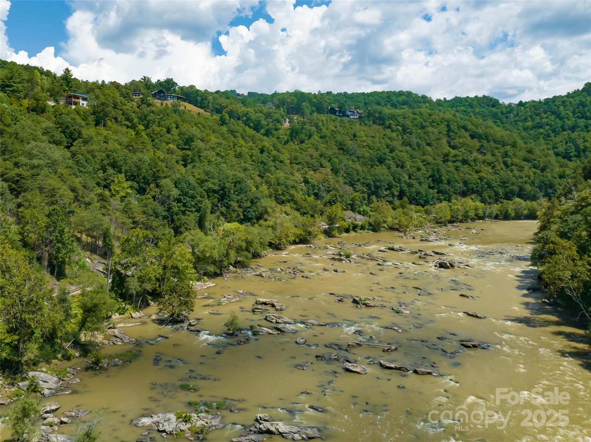 French Broad River - Marshall