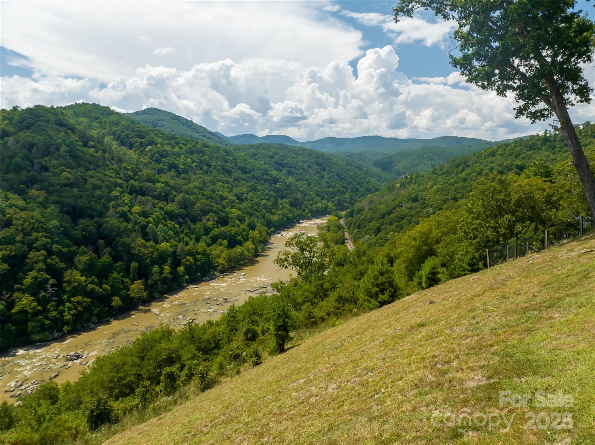 French Broad River - Marshall