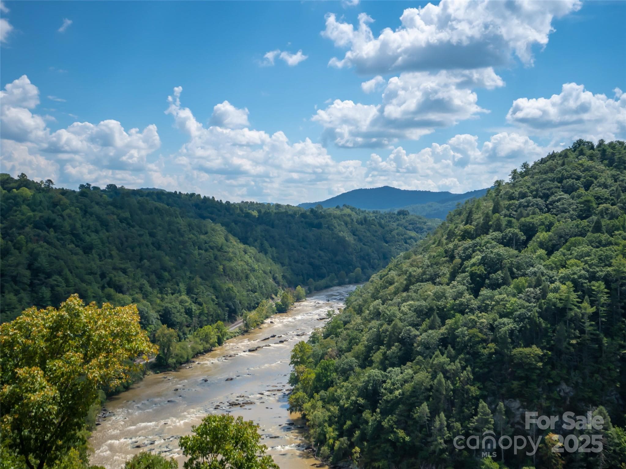 French Broad River - Marshall