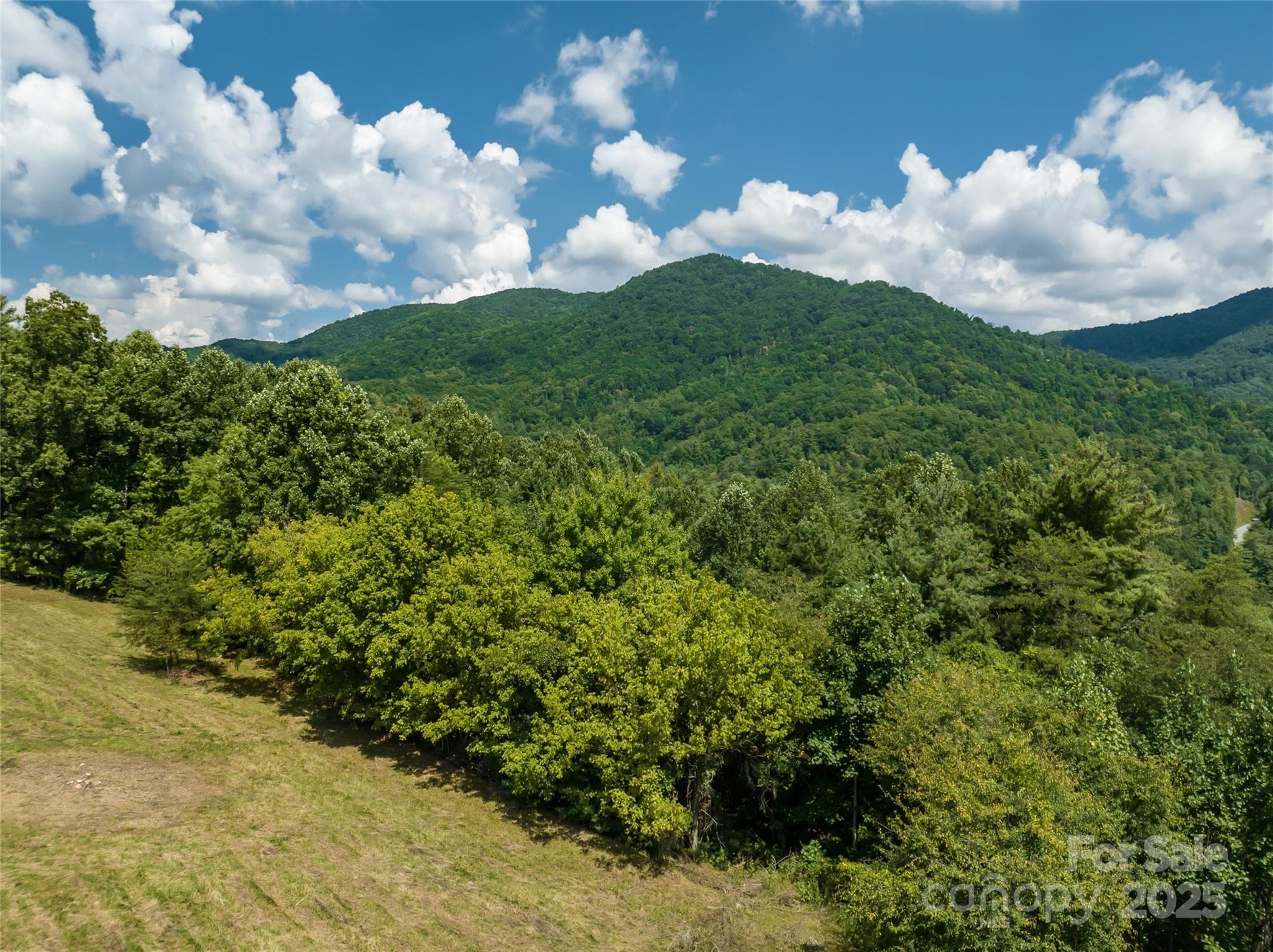 Cleared Level homesite at end of cul-de-sac - Marshall