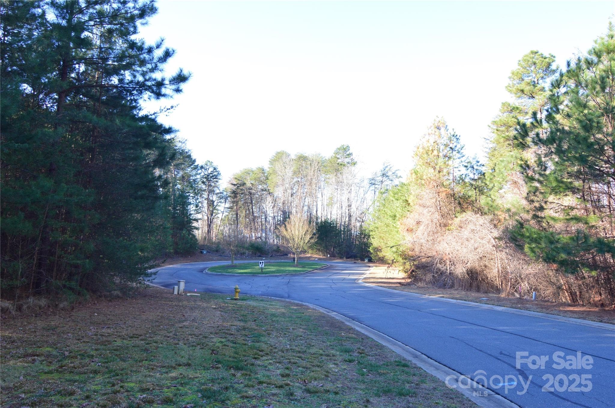 Lot at Belmont, photo 3 of 38