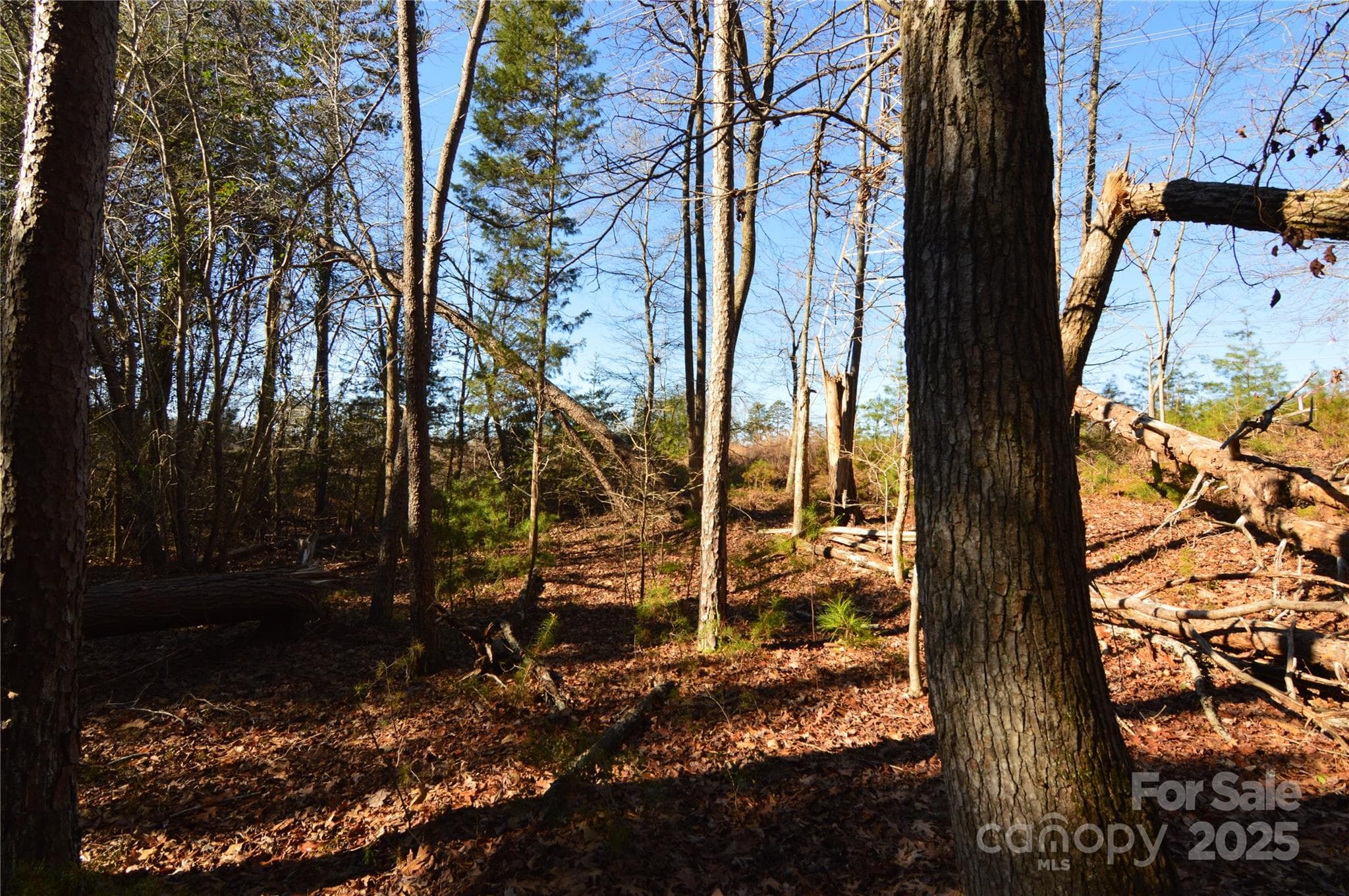 Lot at Belmont, photo 4 of 38