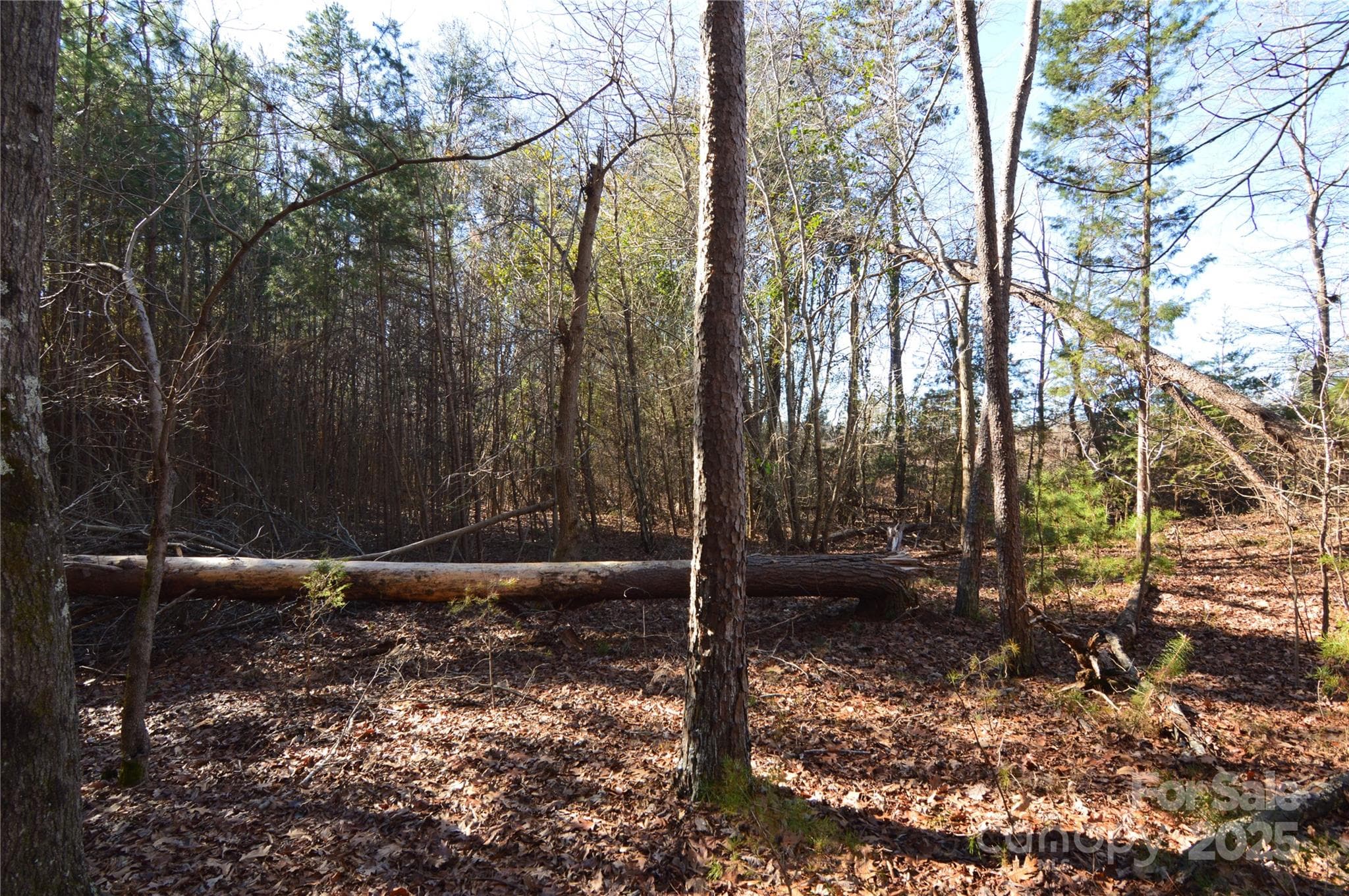 Lot at Belmont, photo 5 of 38