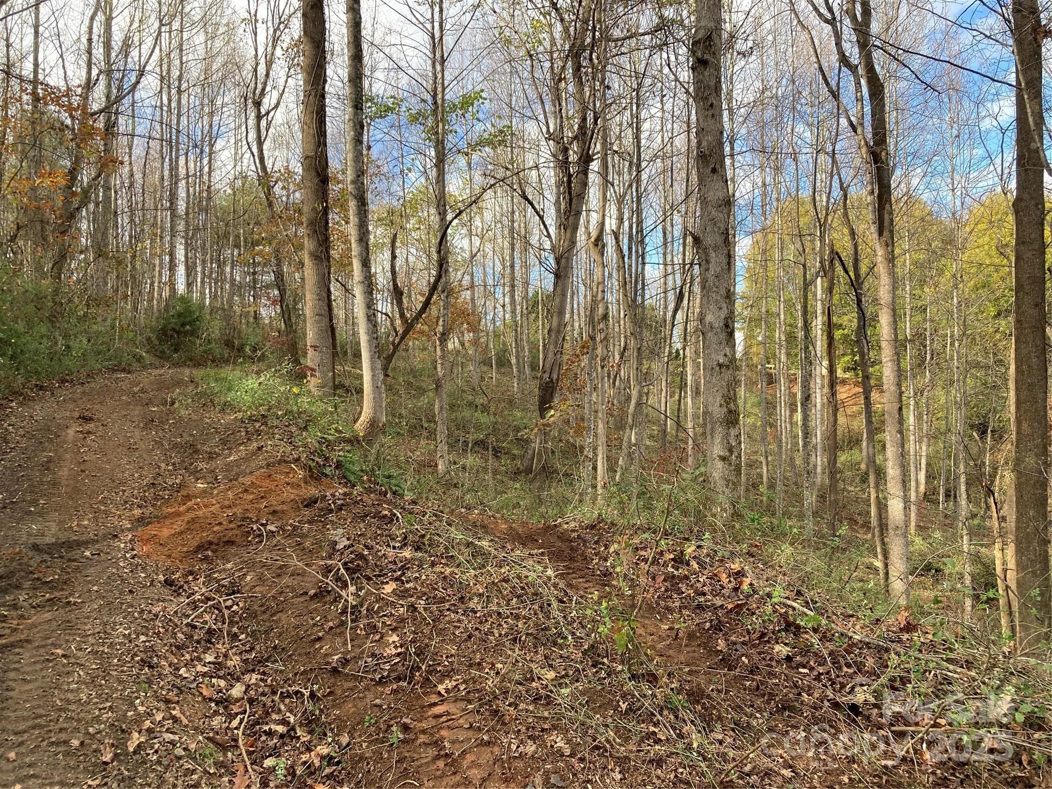 Acreage at 1638 Continental Divide Drive, Flat Rock, photo 2 of 10