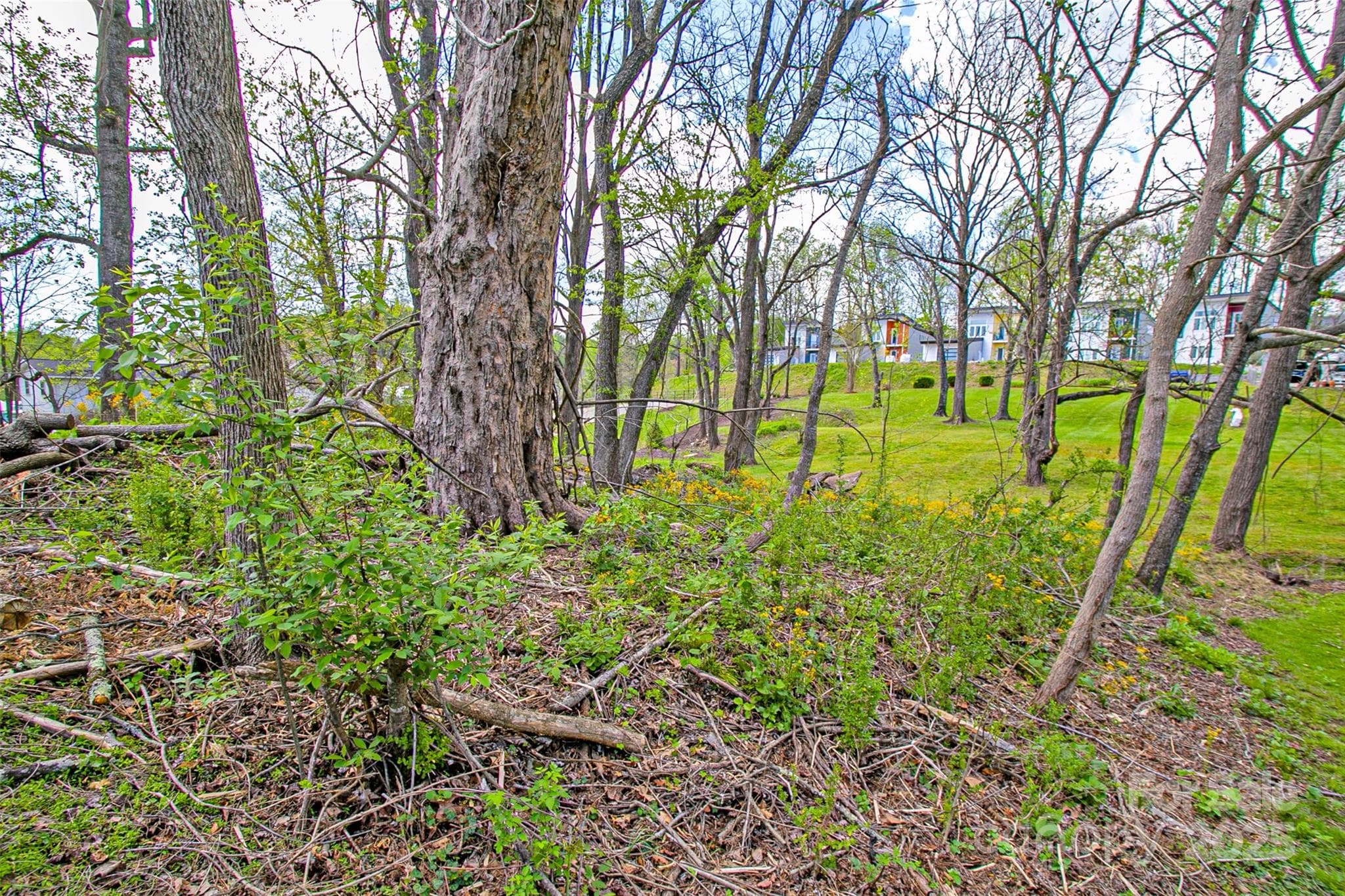 Single Family Residence at Brevard, photo 22 of 27