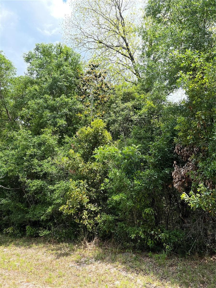 Land at 0 NW 70TH CIR, CHIEFLAND, photo 2 of 8