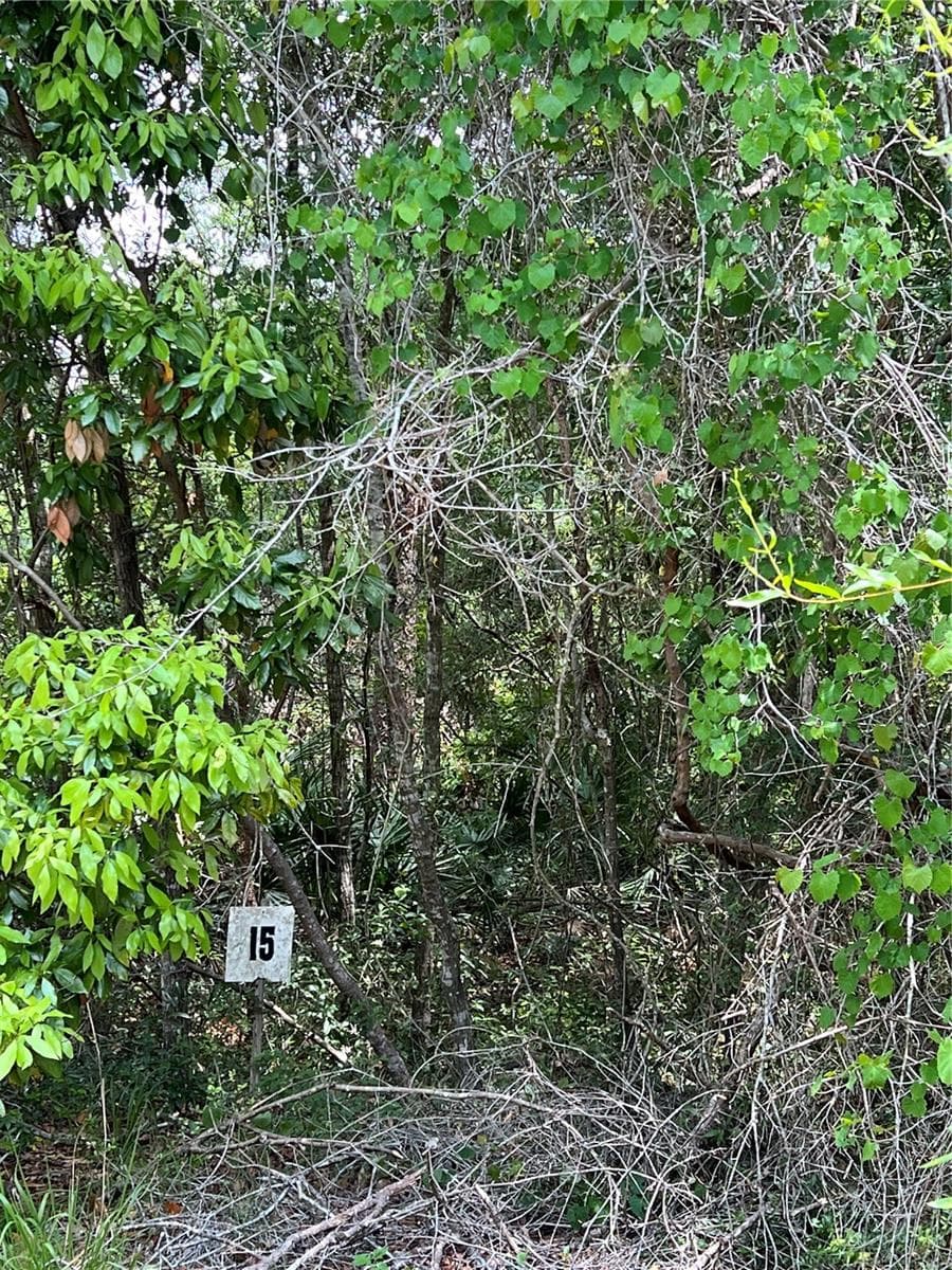 Land at 0 NW 70TH CIR, CHIEFLAND, photo 4 of 8