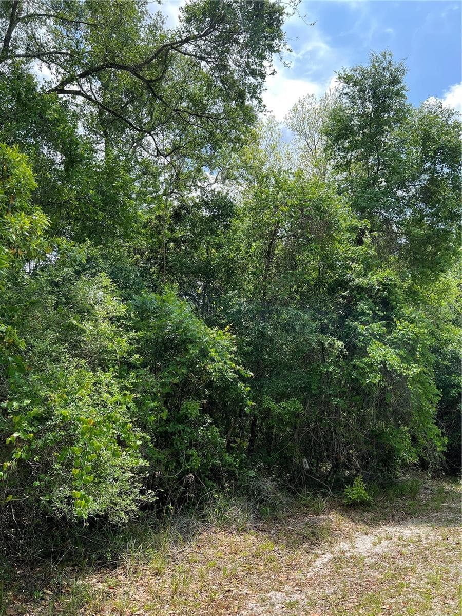 Land at 0 NW 70TH CIR, CHIEFLAND, photo 6 of 8