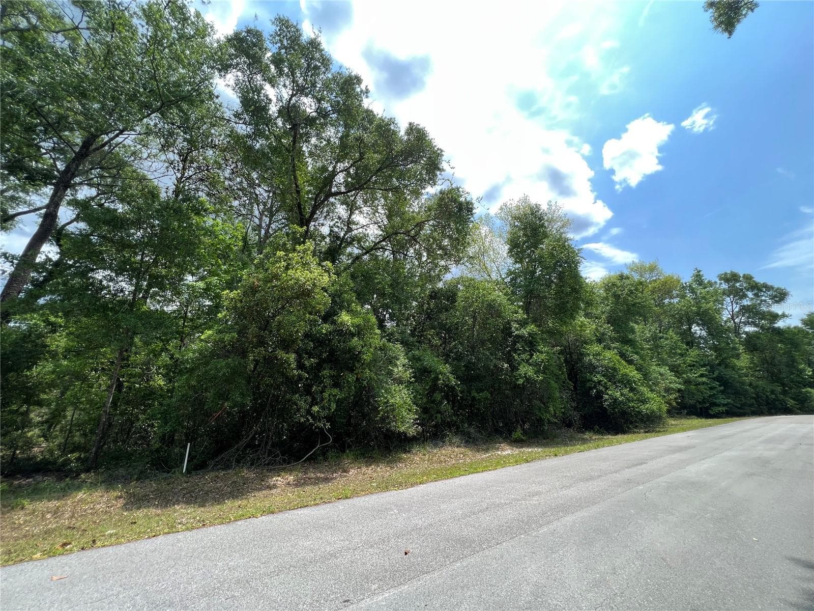 Land at 0 NW 70TH CIR, CHIEFLAND, photo 7 of 8