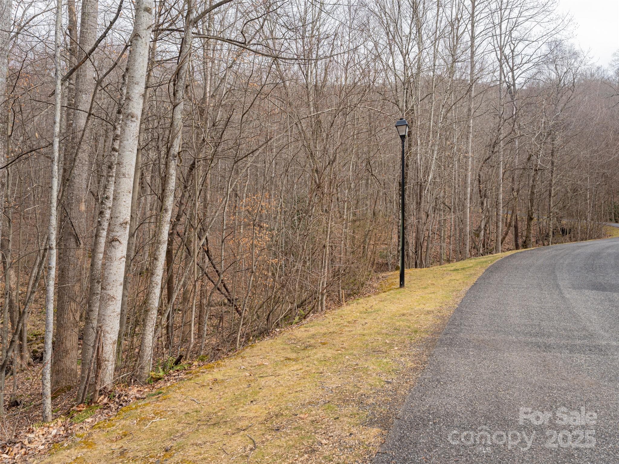 Lot at 522 & 528 Blue Mist Way, Arden, photo 4 of 36