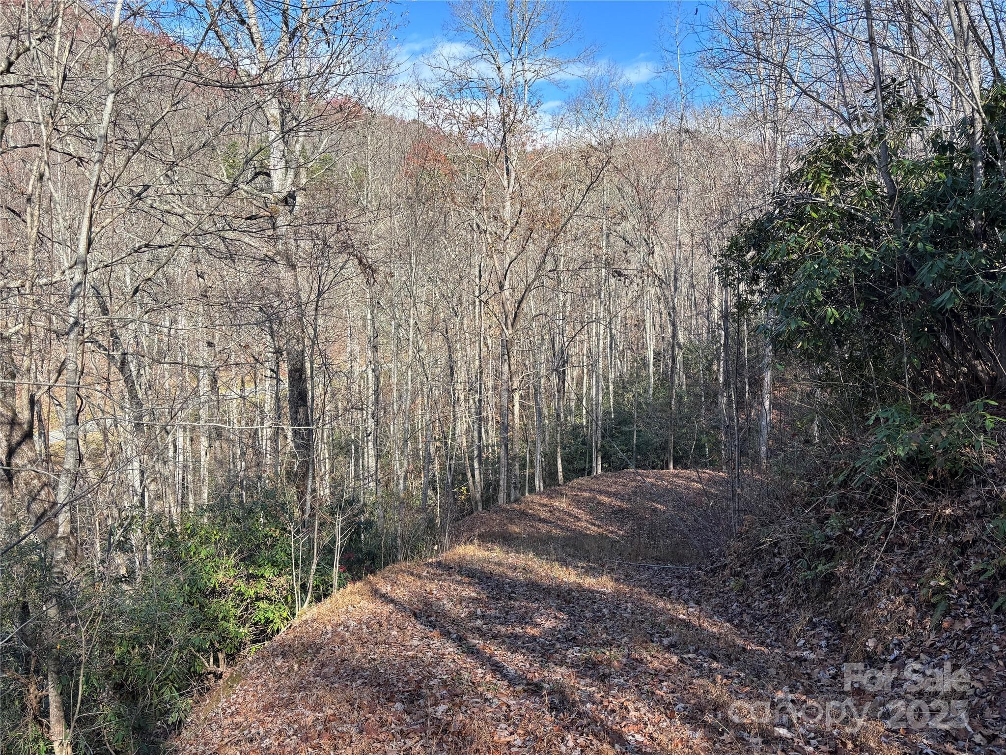 Acreage at OFF Houston Farm Road, Bryson City, photo 8 of 18