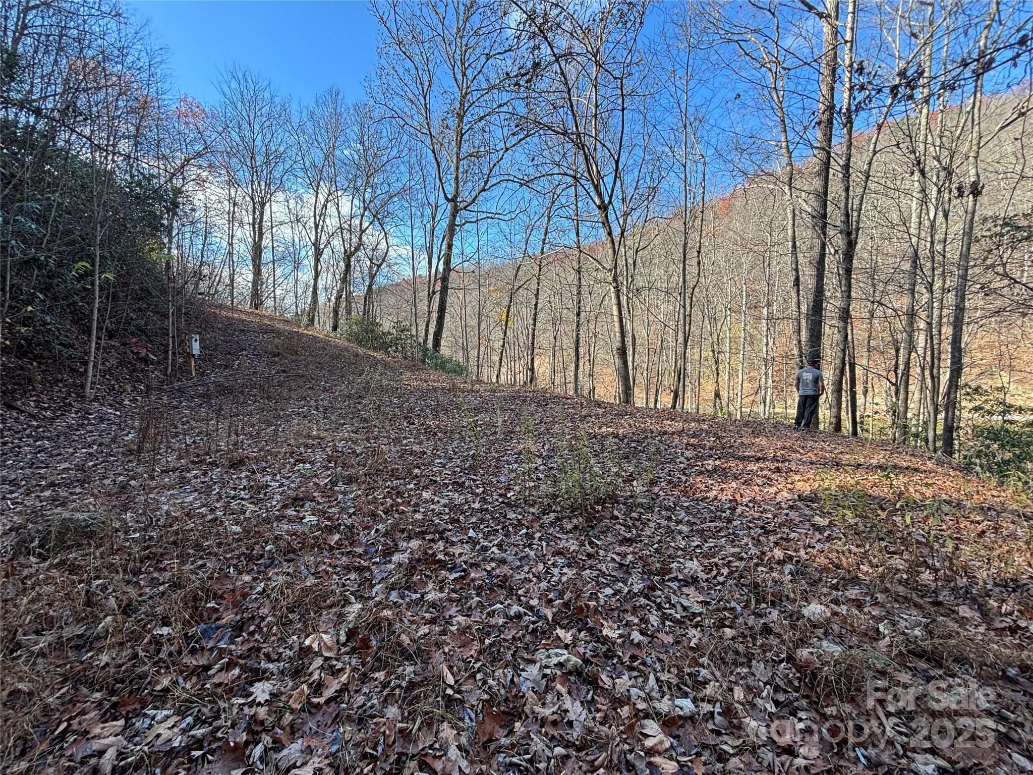 Acreage at OFF Houston Farm Road, Bryson City, photo 11 of 18
