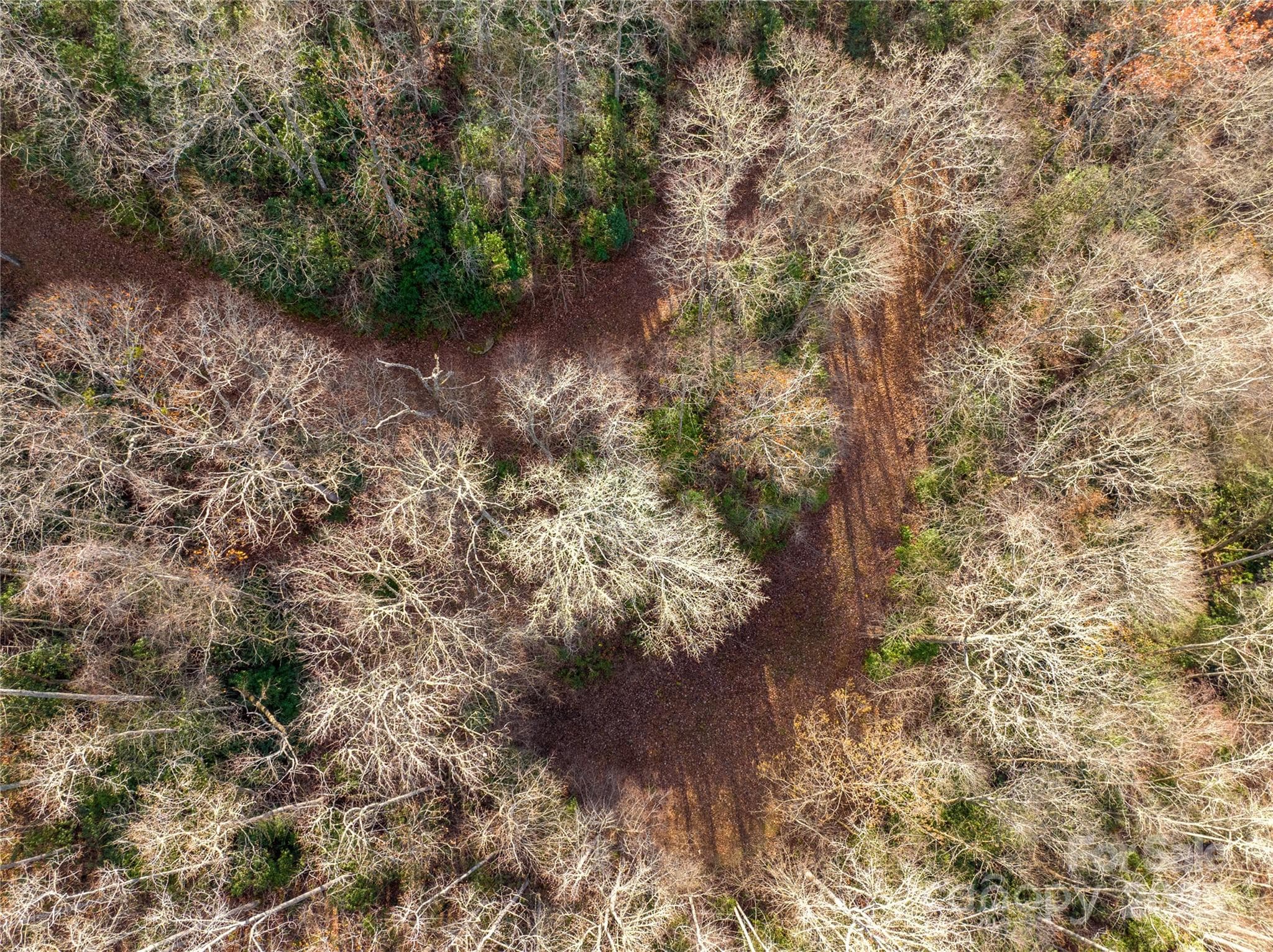 Acreage at OFF Houston Farm Road, Bryson City, photo 13 of 18