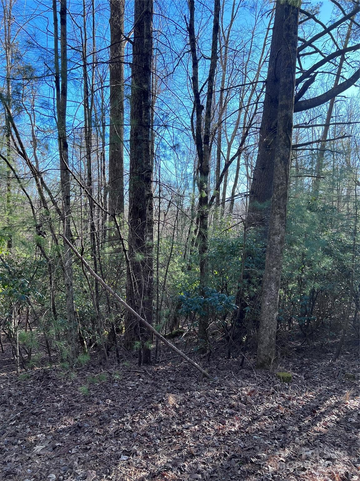 Lot at Brevard, photo 2 of 13