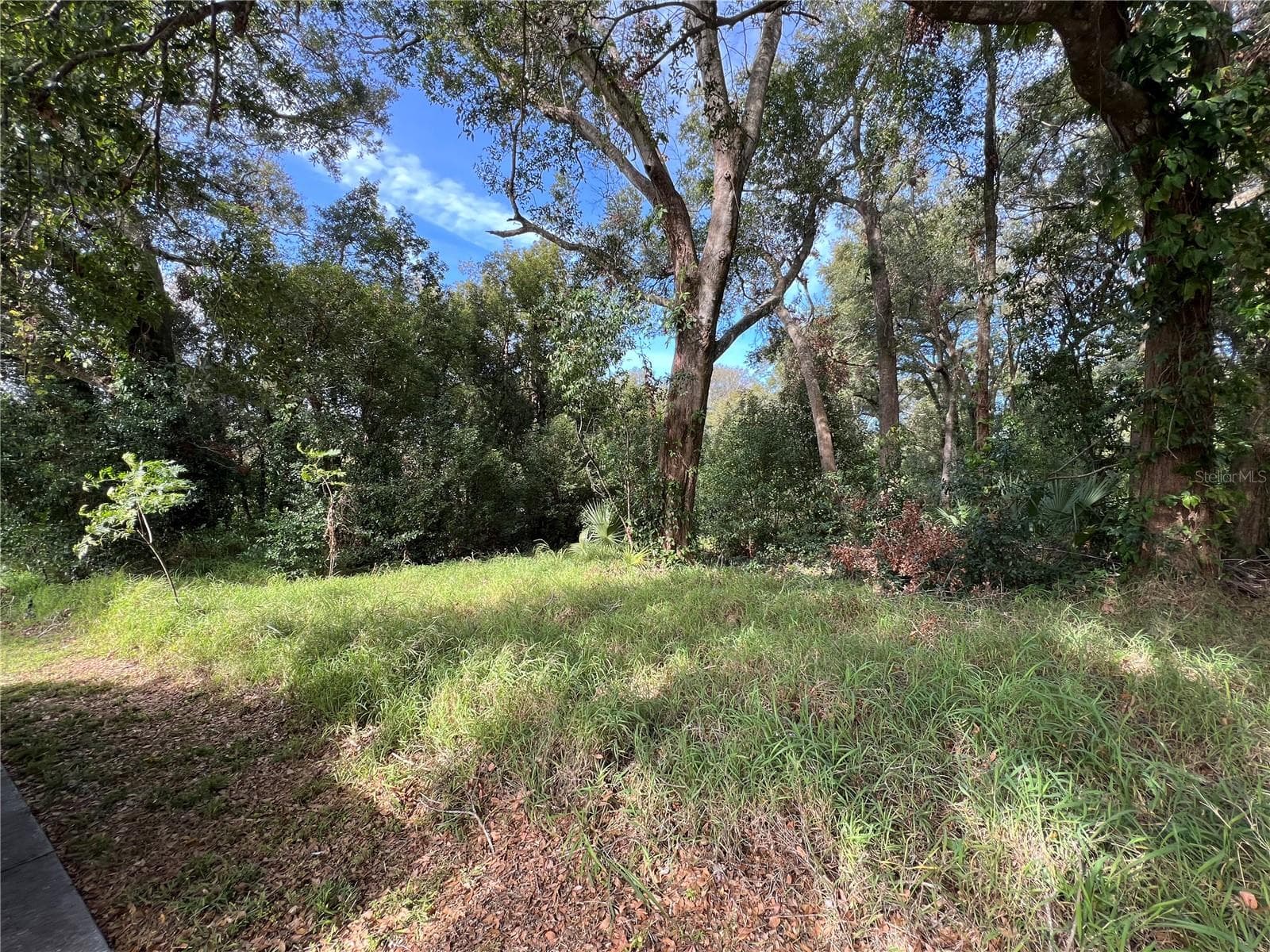875 OCOEE APOPKA RD