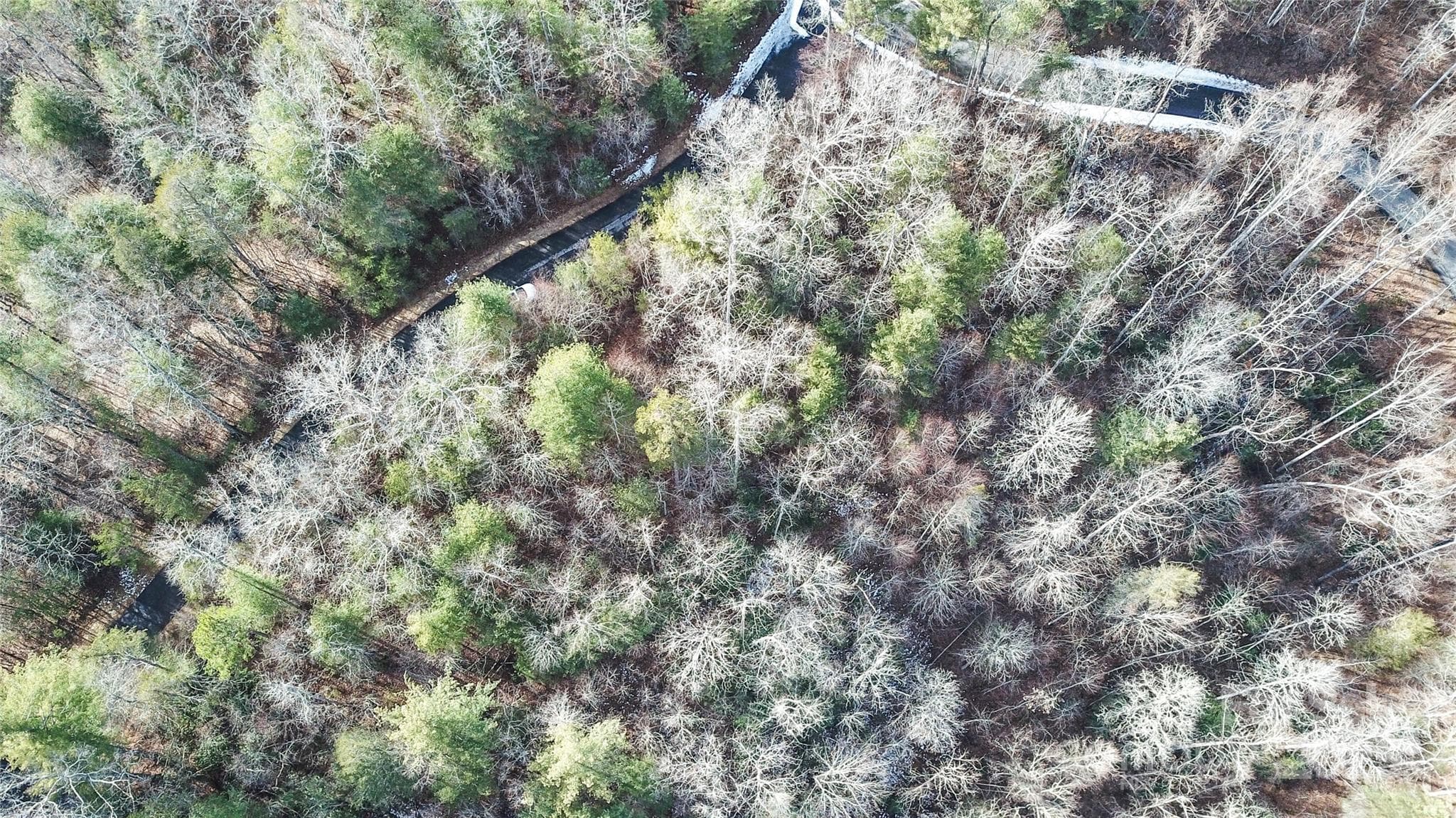 Lot at Hendersonville, photo 4 of 23