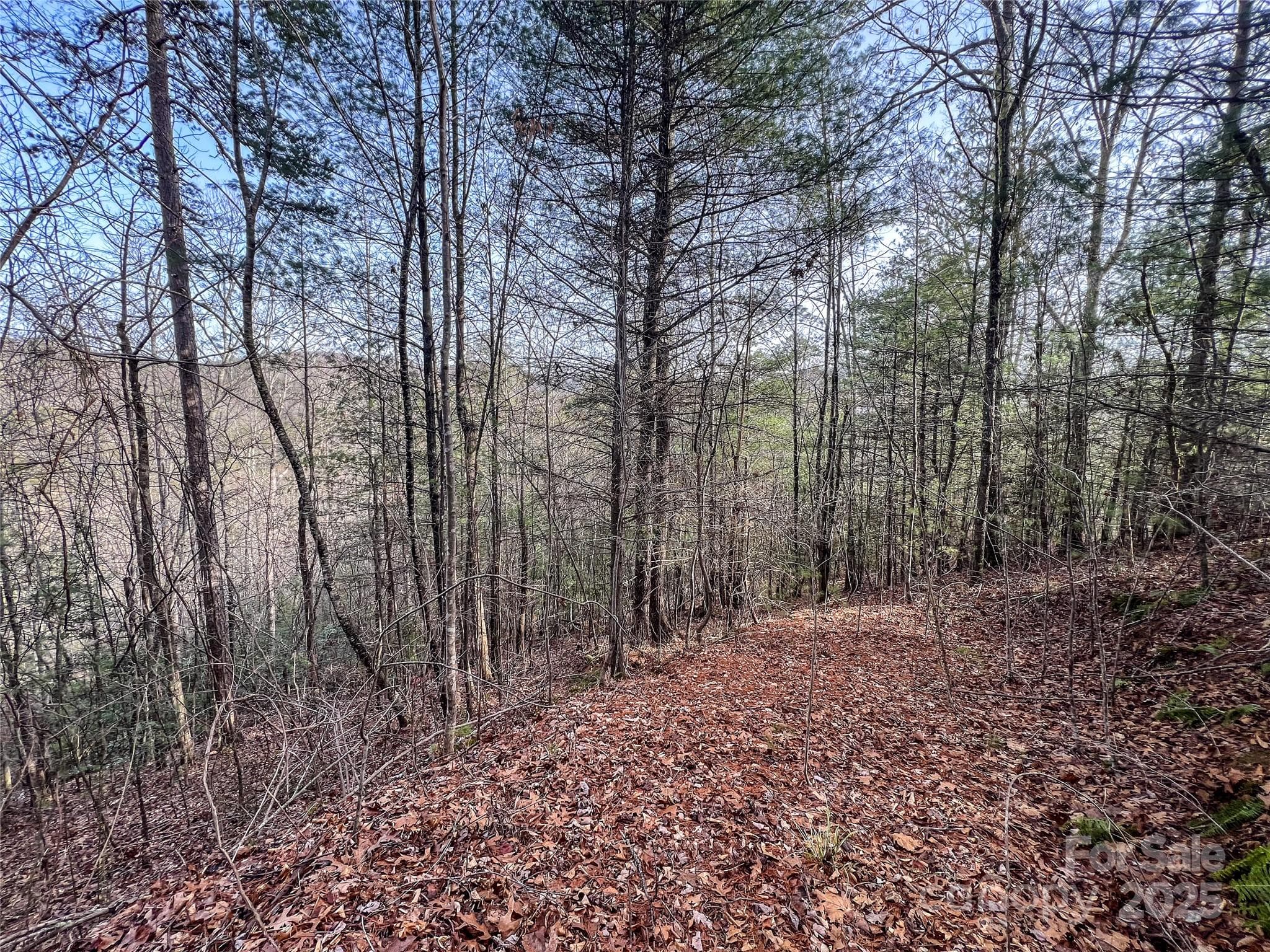 Potential Building site - Hendersonville