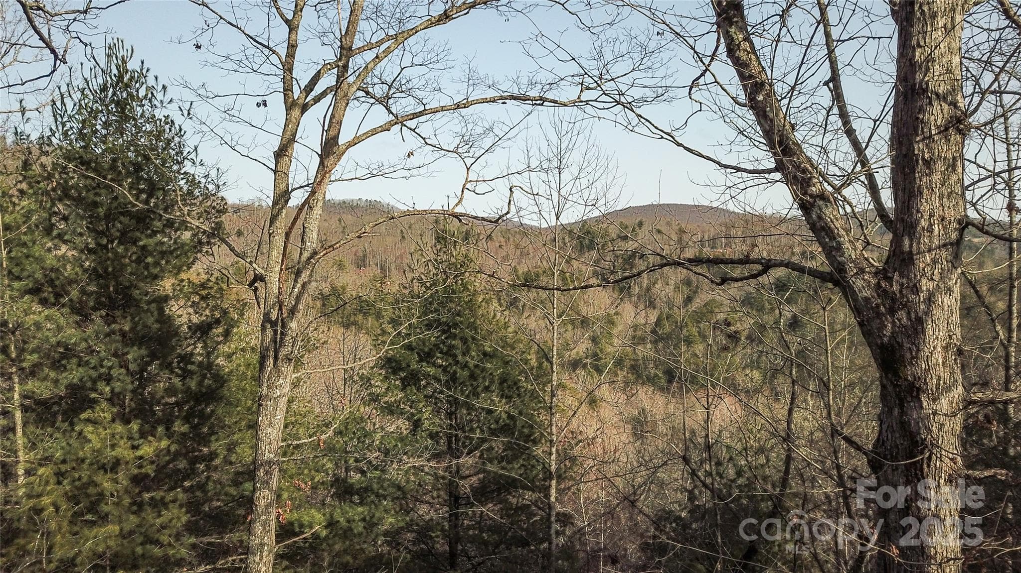 Potential for long range mountain views - Hendersonville